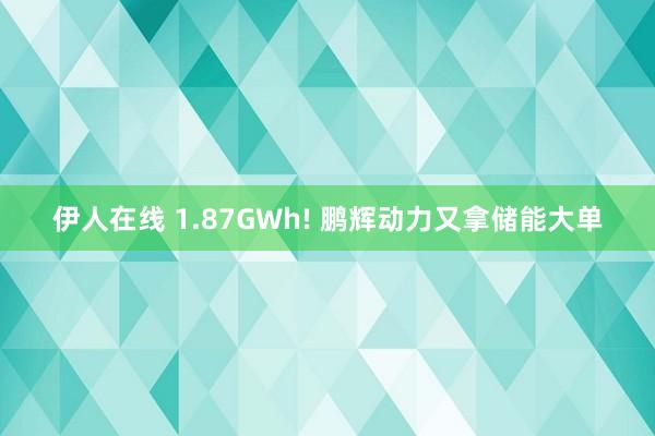 伊人在线 1.87GWh! 鹏辉动力又拿储能大单