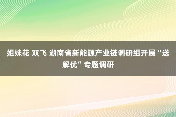 姐妹花 双飞 湖南省新能源产业链调研组开展“送解优”专题调研