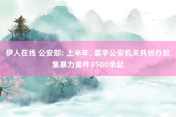 伊人在线 公安部: 上半年， 寰宇公安机关共侦办蚁集暴力案件3500余起