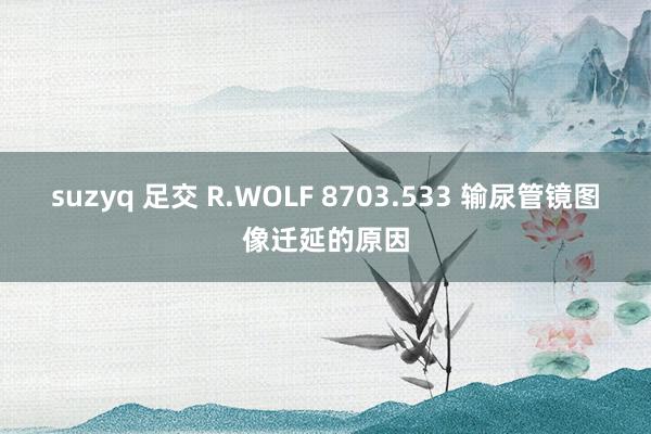 suzyq 足交 R.WOLF 8703.533 输尿管镜图像迁延的原因