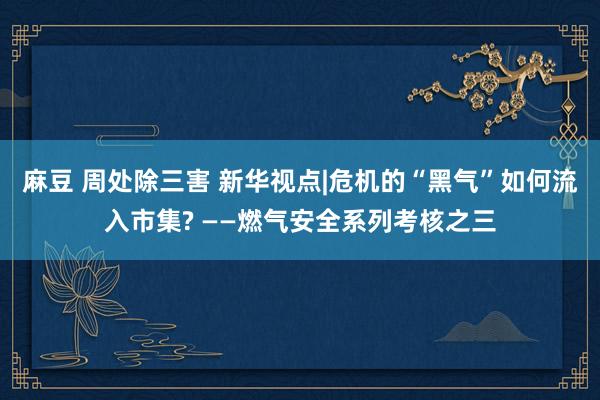 麻豆 周处除三害 新华视点|危机的“黑气”如何流入市集? ——燃气安全系列考核之三