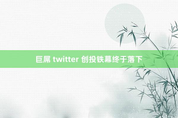 巨屌 twitter 创投铁幕终于落下