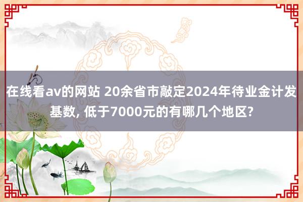 在线看av的网站 20余省市敲定2024年待业金计发基数， 低于7000元的有哪几个地区?