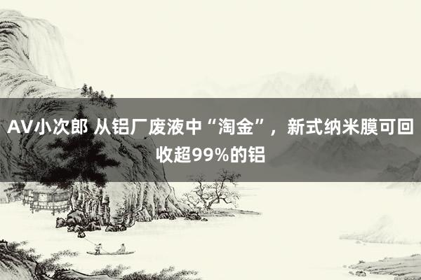 AV小次郎 从铝厂废液中“淘金”，新式纳米膜可回收超99%的铝